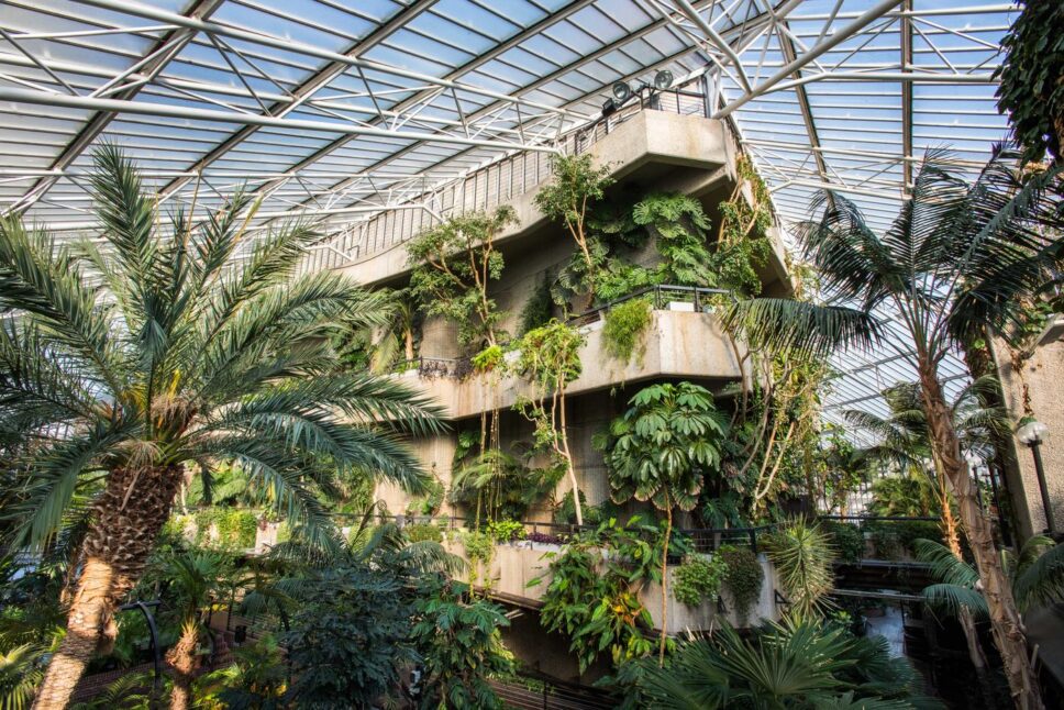 Barbican Conservatory - Zedwell Hotels