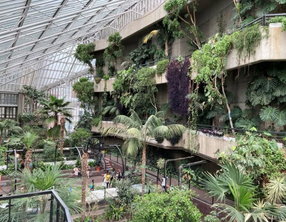 Barbican Conservatory London