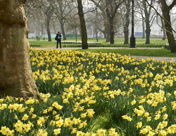 Green Park London