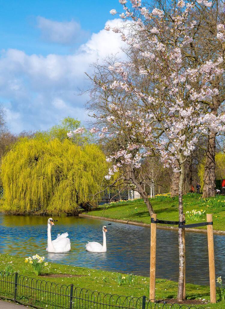 Regents Park London